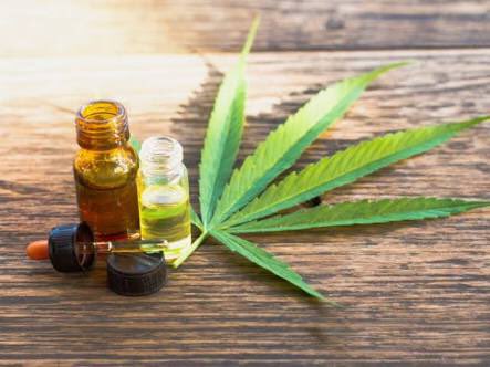 DaggaSolutions's tweet photo. #GirlzTalkZa people with cancer, arthritis, anxiety and other health conditions can find some relief in cannibus products and after today’s judgement in their own space with no fear. DM us for CBD oils and tablets that work and won’t get you high. https://t.co/YAaJRnbwJz