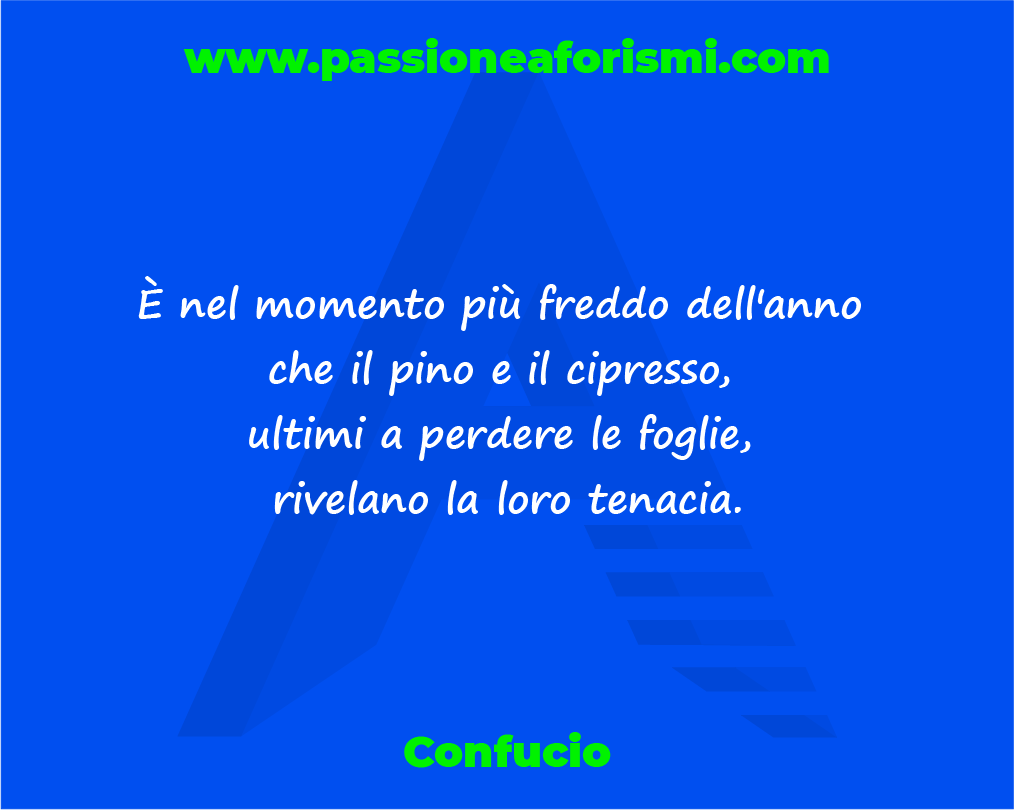 Passione Aforismi Sur Twitter Aforismi Frasi Citazioni Massime Pensieri Riflessioni Libri Lettura Quotes Proverbi Tenacia