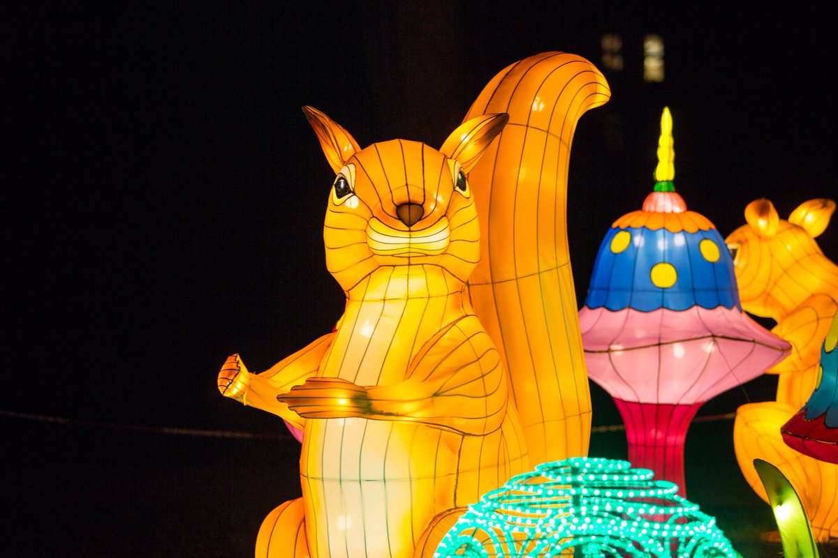 Birmingham What's On tweet media