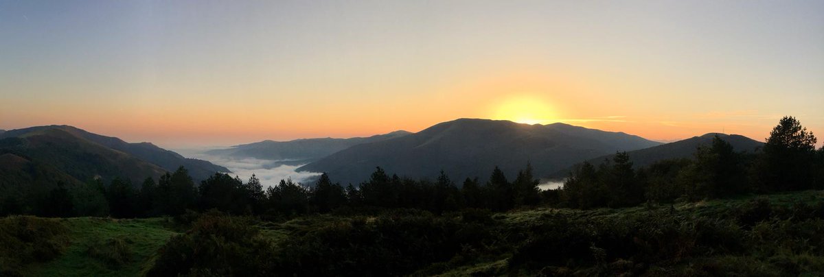 En Lindus jornadas de paso animado y variado. Ayer un precioso macho de Falco vespertinus hizo las delicias de los presentes. Se trata de un sitio con magia. En seguida el otoño teñirá de herrumbre los hayedos@GanNavarra <a href="/SEO_BirdLife/">SEO/BirdLife</a> <a href="/LPOAk/">LPO Aquitaine</a> <a href="/SEO_BirdLife/">SEO/BirdLife</a> <a href="/Iratirratia/">Irati Irratia</a> <a href="/Iratialdea/">Casas PirineoNavarro</a>