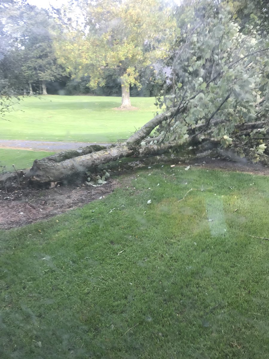 cjhughes81's tweet photo. Storm Ali strikes @CastlecomerGC @greenkeepingire https://t.co/4aPR10pyjM