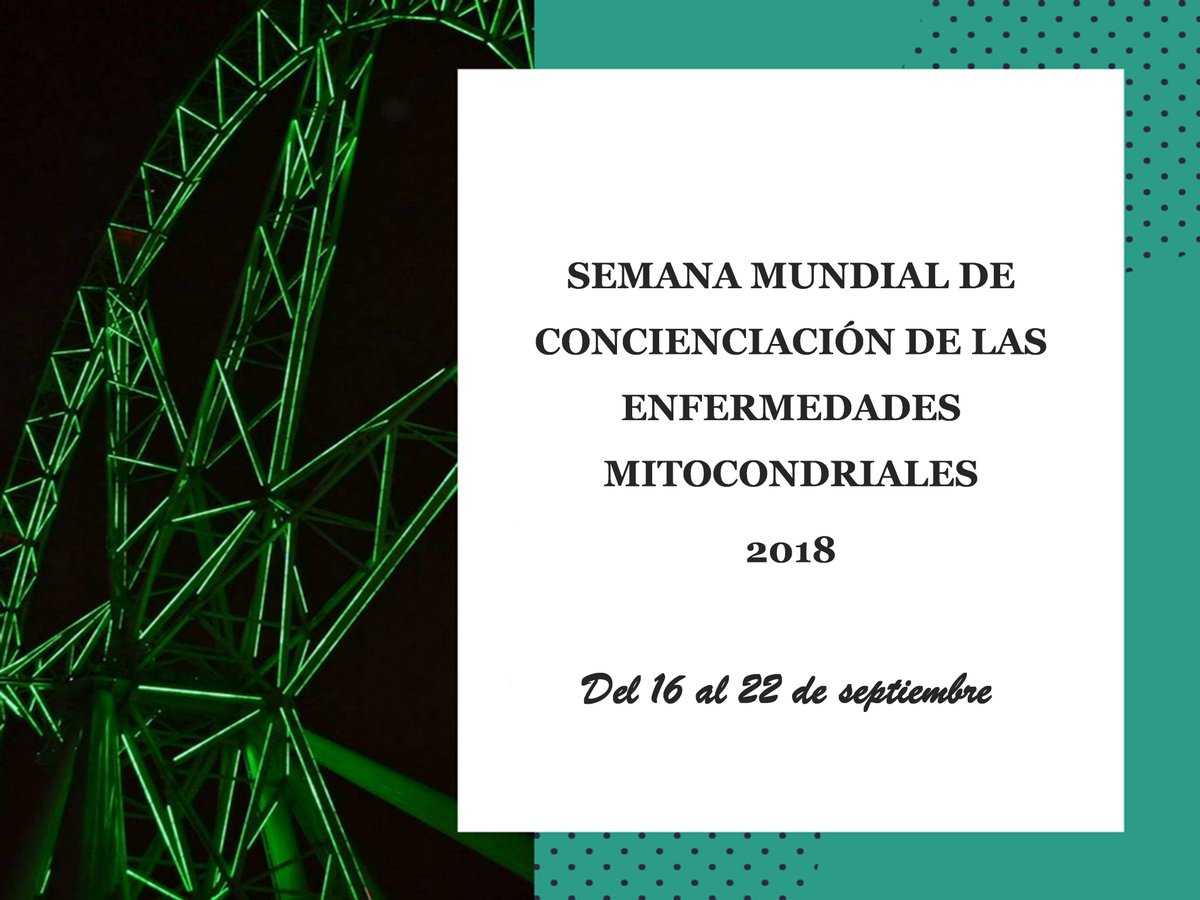 AEPMI's tweet photo. Este sábado 22 el Hotel Córdoba Center se iluminará de Verde en solidaridad con las Enfermedades Mitocondriales💚 hazte una foto 📸y compártela con #GMDAW18 #lightupformito @cordoba @abccordoba @Cordobacfsad  @cofcordoba @SonrisasAzCordb @AytoCordoba https://t.co/5pcRTijLvm https://t.co/6Kb8xx726G