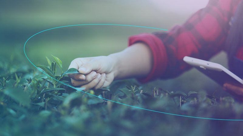 sigfox's tweet photo. Through smart agriculture, we are able to have exact data from the fields that farmers want to monitor.
🌧  Rainfall
🌡 Temperature
💧 Humidity
💨 Air pressure

🌱 Learn more ➡️  https://t.co/DjRiiws5ad https://t.co/3xIiX6zWEM