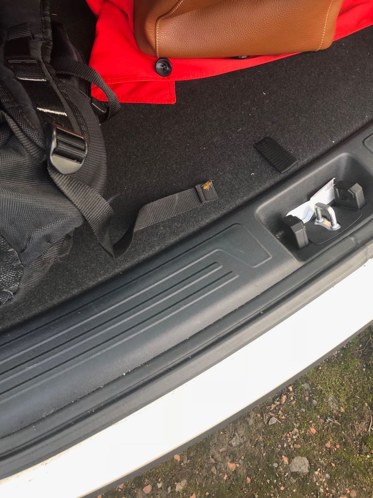 DevroBees's tweet photo. Huge thanks to @scrawlerk giving one of our wasp friends a run home in her car yesterday. 😀 https://t.co/l50ZSshm8y