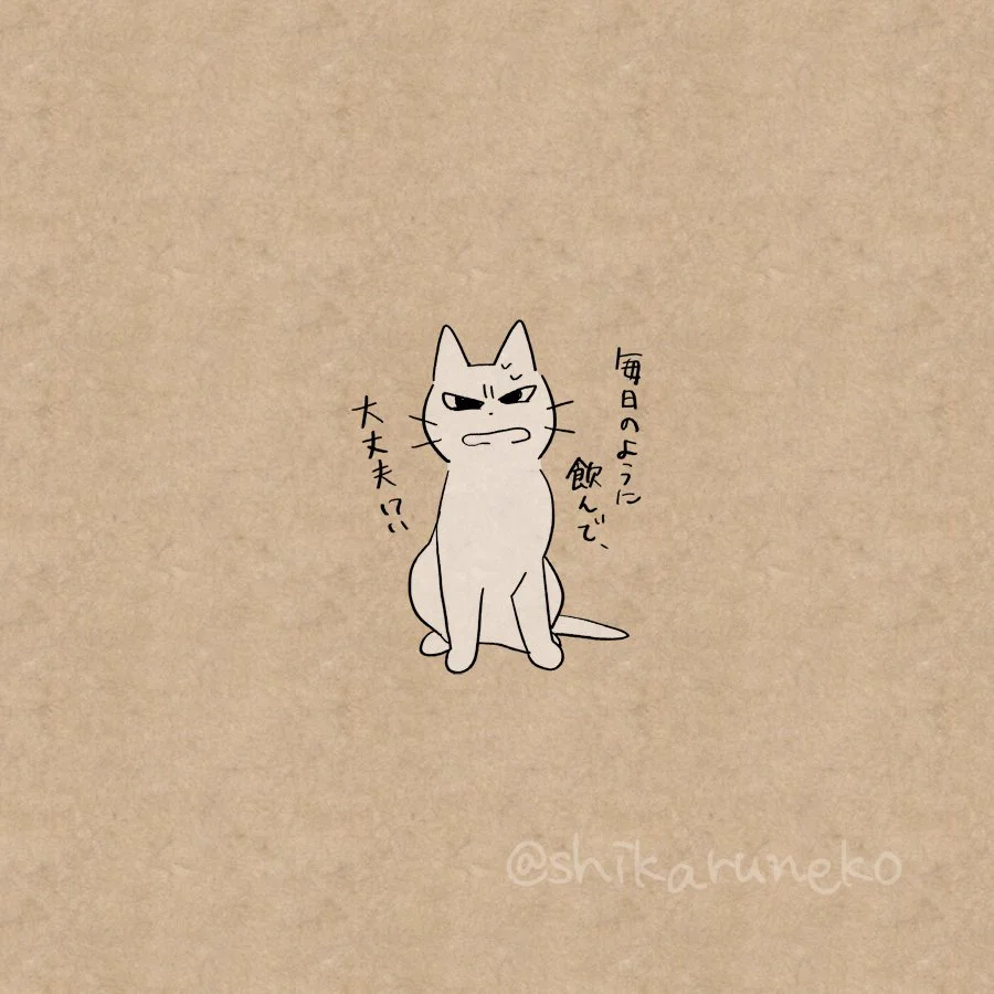 こんなネコがいたらなぁｗｗ飲んだくれのアナタを叱ってくれるネコ登場！！