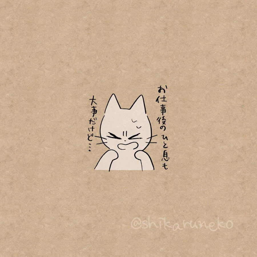 こんなネコがいたらなぁｗｗ飲んだくれのアナタを叱ってくれるネコ登場！！