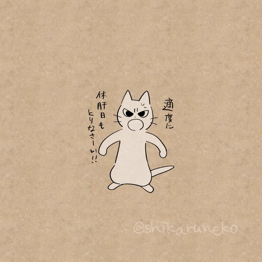 こんなネコがいたらなぁｗｗ飲んだくれのアナタを叱ってくれるネコ登場！！