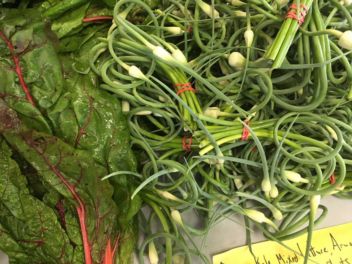 prospectfarmers's tweet photo. This: September 23, 11-3. The Kitchen Windiw serves breakfast. Followed by tunes and farm fresh veggies and fruit. Baked goods, hard cider and locally made crafts. Breeze Apparel, Simply Sweet Bakery and Martin Creations. https://t.co/KHNaGEKvuU