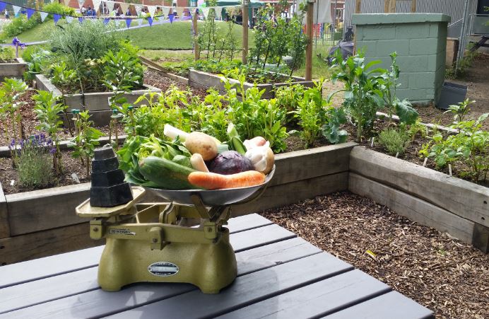 Film competition to all food growing schools! Check out <a href="/TreesforCities/">Trees for Cities</a>' Grow On, Film It film competition, open to all UK schools that grow fruit and veg. Gardening vouchers for 1st, 2nd and 3rd prize! 👩‍🌾👨‍🌾 >>  treesforcities.org/our-work/edibl…