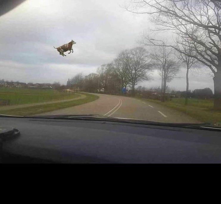 EdwardOoo7's tweet image. Meanwhile at the #ploughing