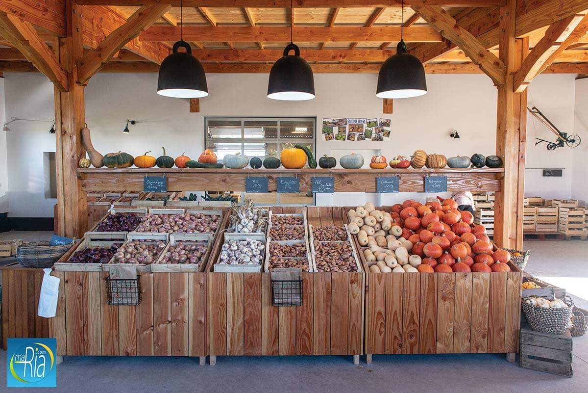 riadetel's tweet photo. Connaissez-vous le nouvel espace de vente directe de légumes du GAEC des Etangs à Plouhinec ? Et bien le voici !
#Bretagne #BZH #Morbihan #Breizh #bzhPower #riadetel #miamorbihan #Legumes #Ventedirect #CircuitsCourts #maraicher #agriculture #Photographie https://t.co/UHYOZDBX27 https://t.co/1N3H8vlc1d
