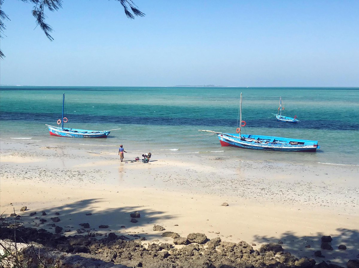 CInsolites's tweet photo. Suite des #aventures de nos #travel #designers  sur les rivages du #Mozambique... 🌴🐚☀️ #Travel #travelphotography https://t.co/cXV22avE8o