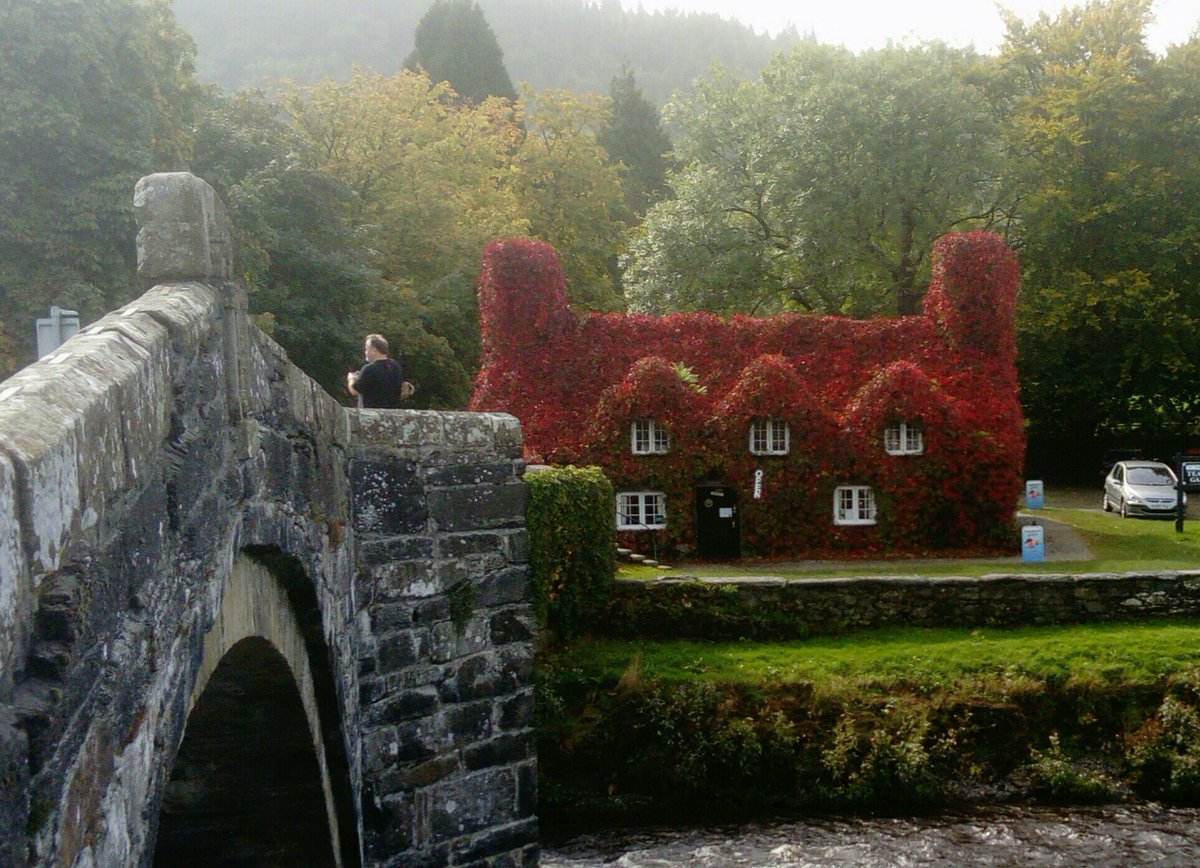 Carol Watts tweet media