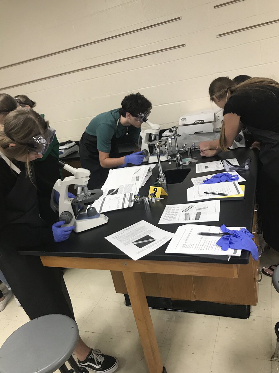 hesterscience's tweet image. PLTW Principles of Biomedical Science students did an excellent job this week analyzing crime scene forensics! They used chemical indicator tests to identify pills and blood from the scene, as well as identifying hair and fingerprint samples! @warriorsci1 #ssdpride #warriorSTRONG