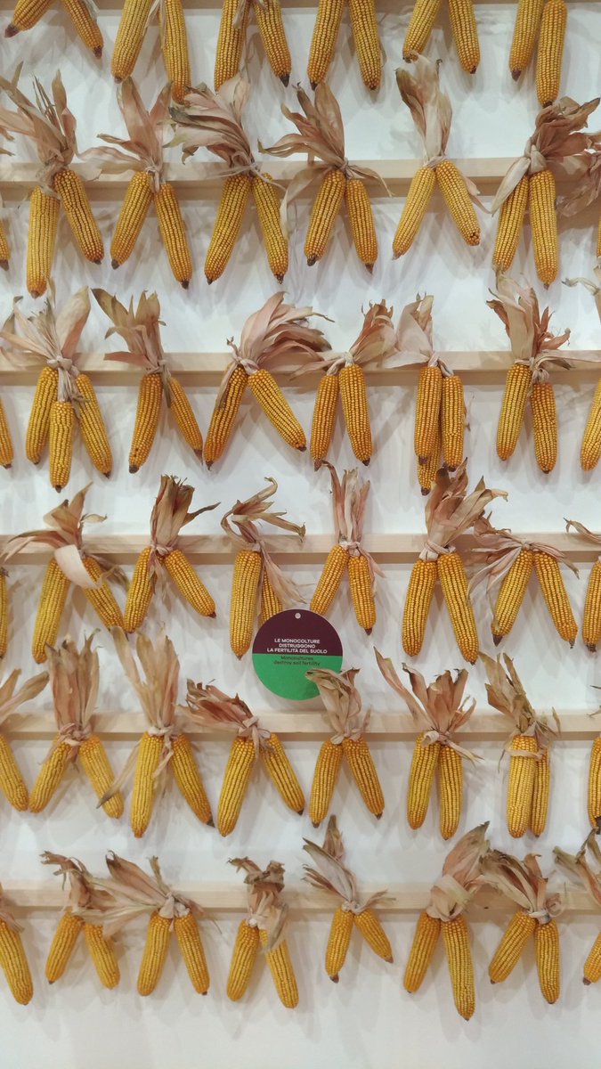 #TerraMadre #SalonedelGusto  #foodforchange  Seeds area is ready for tomorrow!