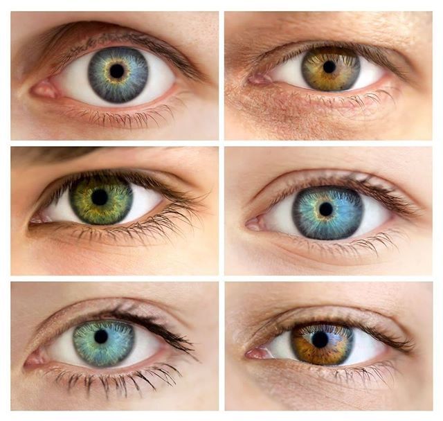 maranoeyecenter's tweet photo. Did you know? Your eye color is determined by the amount of melanin in your iris!
.
.
.
#eyecare #eyehealth #healthyvision #healthtips #opthalmology #optomoetry #eyestrain #facts #visionfacts #lasik #cataracts #eyesight #glasses #njdoctors #2020vision #h… https://t.co/qUegpxwapI https://t.co/thSzM7Wu5l