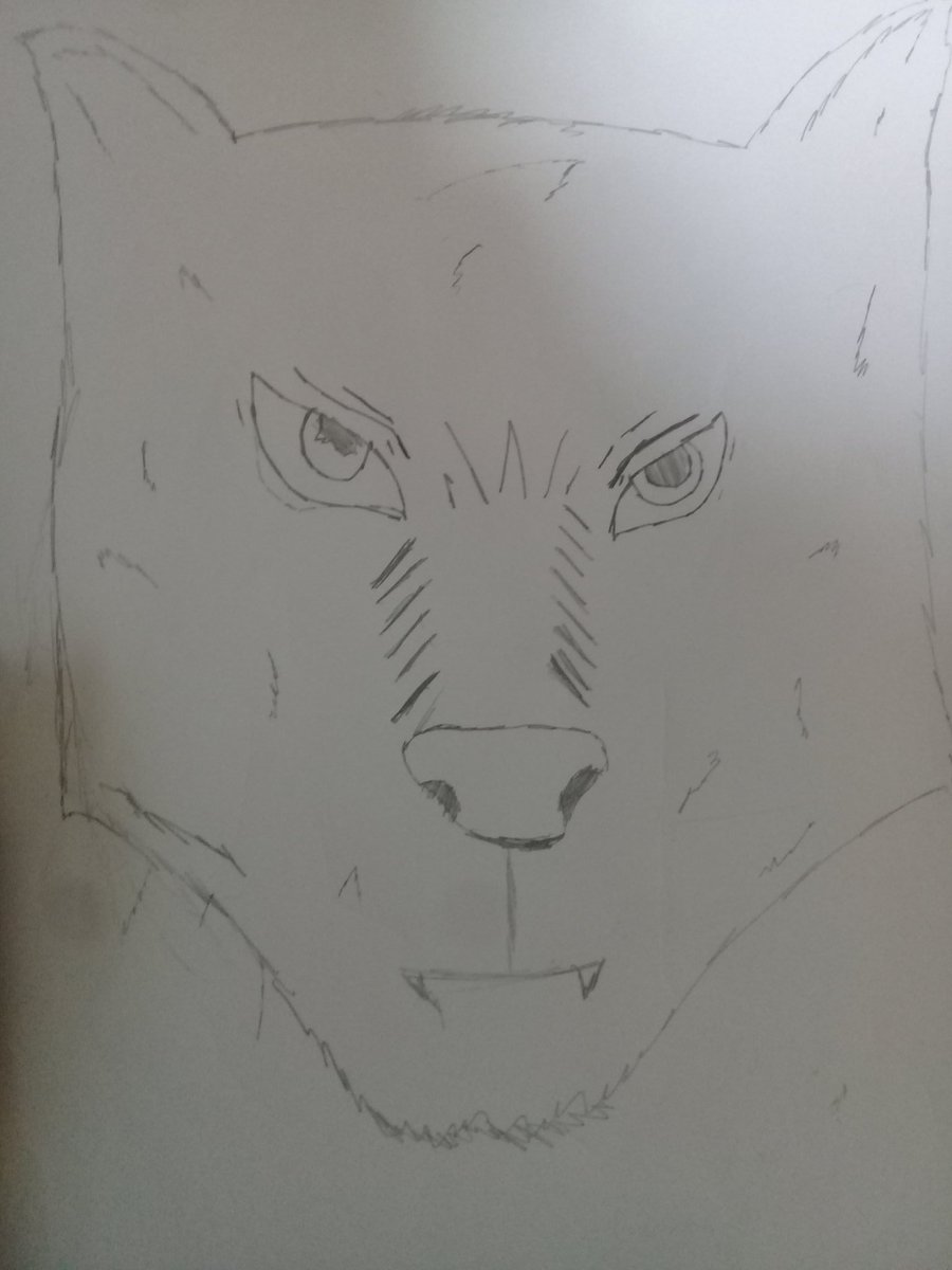 Mano olha esse desenho de lobo q meu amigo Fez pa mim😍😍