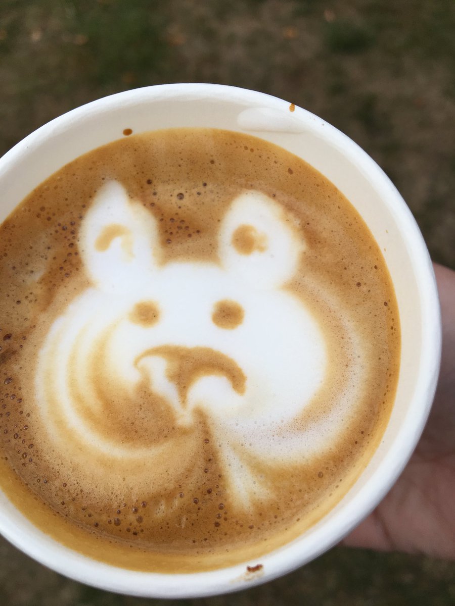 wilfthewhiff's tweet photo. Thomas from @redemptionroast made KindLady a delicious coffee with a picture of ME in it. She showed it to Honey #grumpybeagle just a standard fun day @WaddesdonManor https://t.co/GW7fD7JPK5