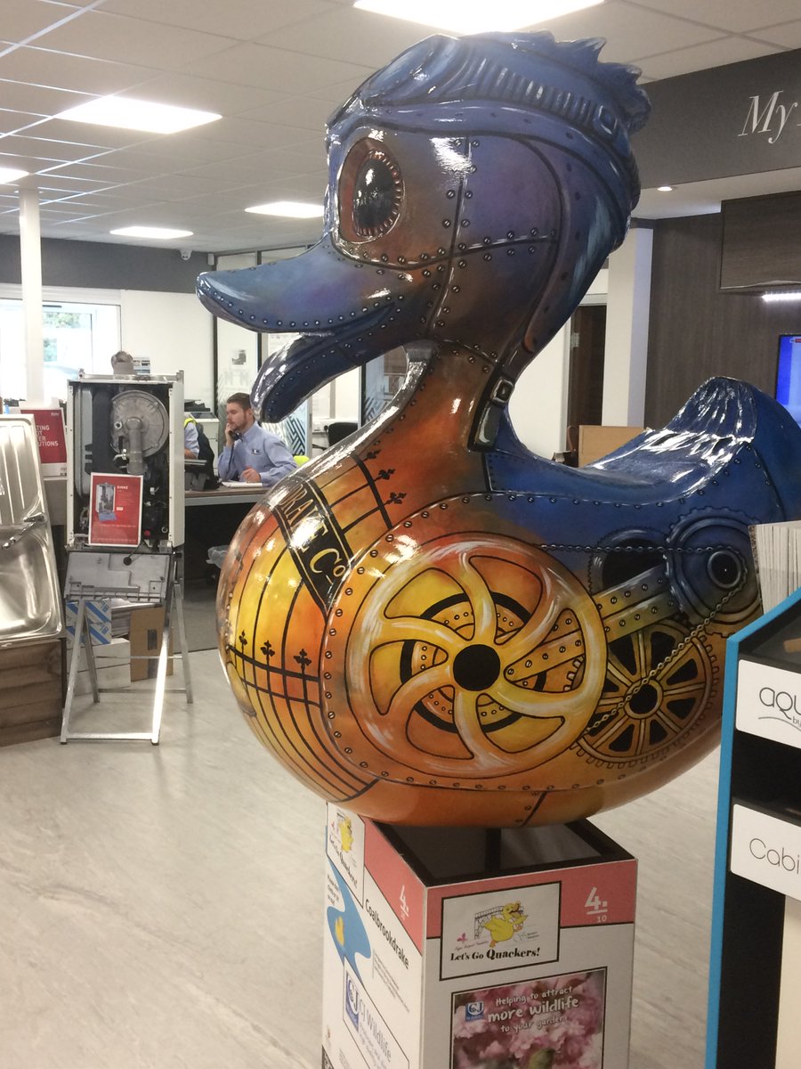 CJWildlife's tweet photo. @CJWildlife had a lovely reunion with @Coalbrookdrake today, thank you @mkmbs Telford. He's looking very smart in the showroom and STILL working hard for @severnhospice and @jaynesargenttf with the charity raffle - get your tickets! #ducklove @breaducationUK @LetsGoQuackers https://t.co/QblTKFCe2O