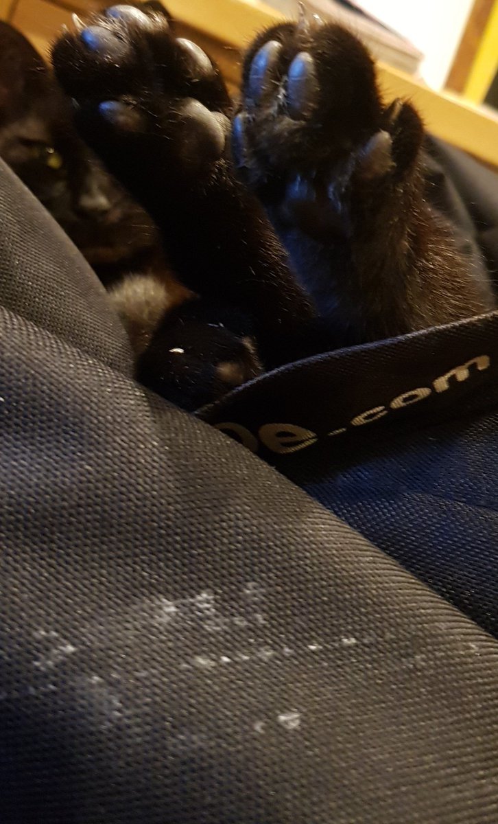 Bask in the glory of my toe beans