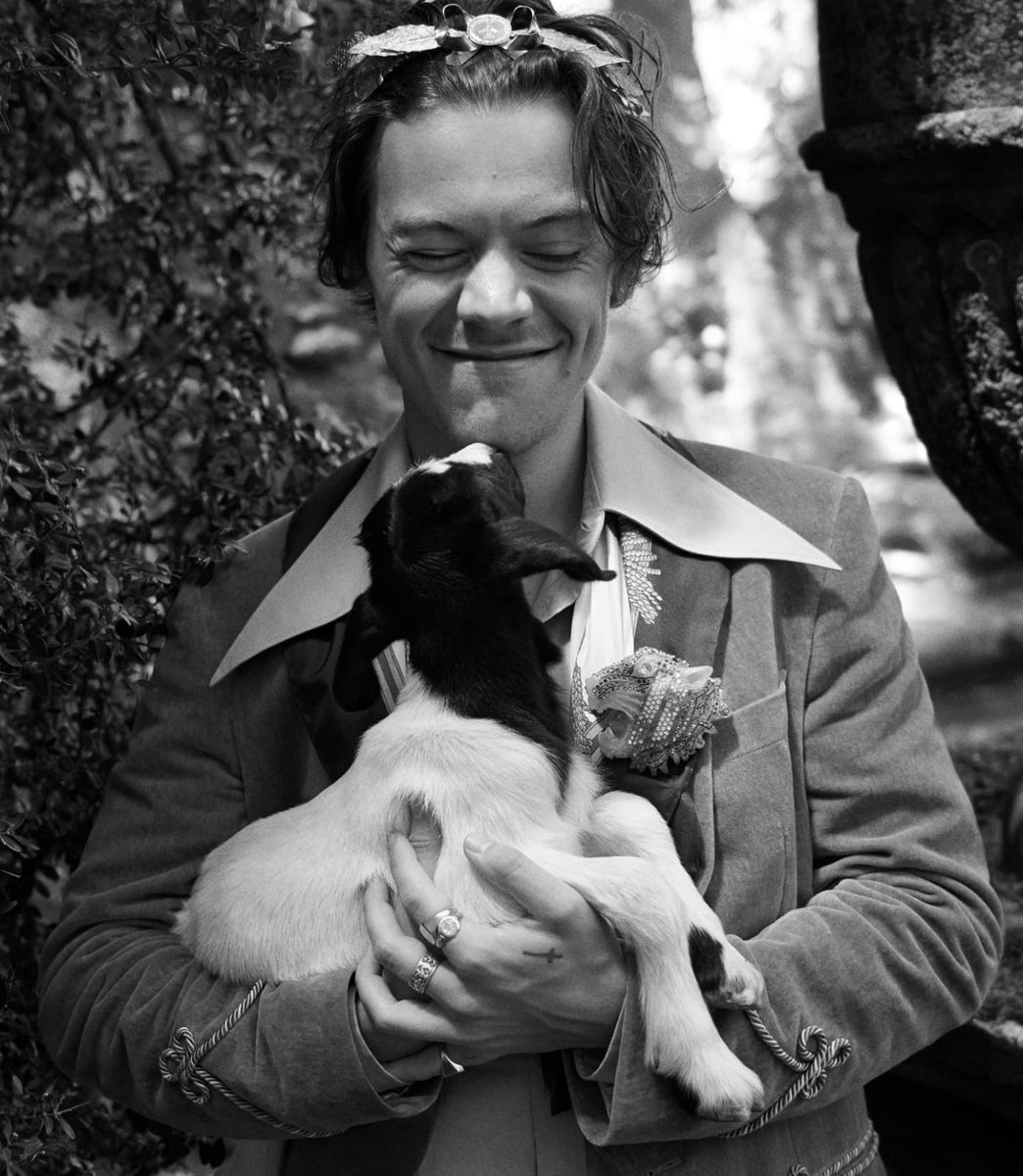 1Dliveupdates's tweet photo. Harry dressed in Gucci for Gucci holding cute baby animals. Happy Hump Day 😍 https://t.co/xkb4gBnjyj