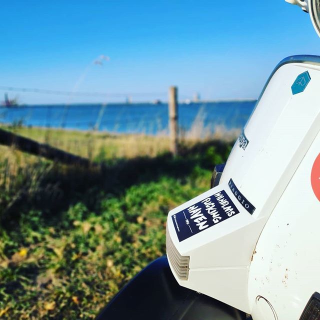 Vespa_WHV's tweet photo. Schönstes Rollerwetter an der Küste! 🌅
#vespawilhelmshaven #vespa #wilhelmsfckinghaven #wilhelmshaven #rollerliebe #echtblech #schaltroller #scooterist #likeforlikes #altblechliebe #vespaclassic #küste #jadeweserport #jwp #scooter #roller #rollerwetter https://t.co/AGHpAxizgT https://t.co/cxeQix6c8z