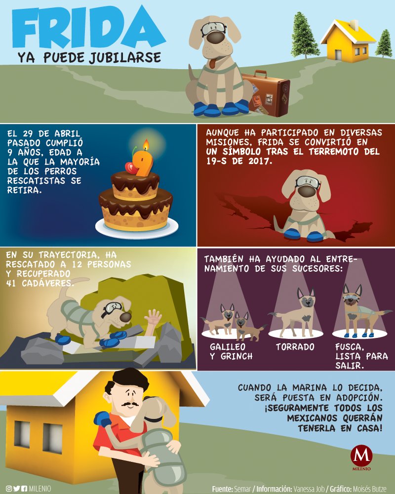 Milenio's tweet photo. Frida, el símbolo de #FuerzaMéxico https://t.co/qkUmLG6XSp https://t.co/qSC6QWpJbJ
