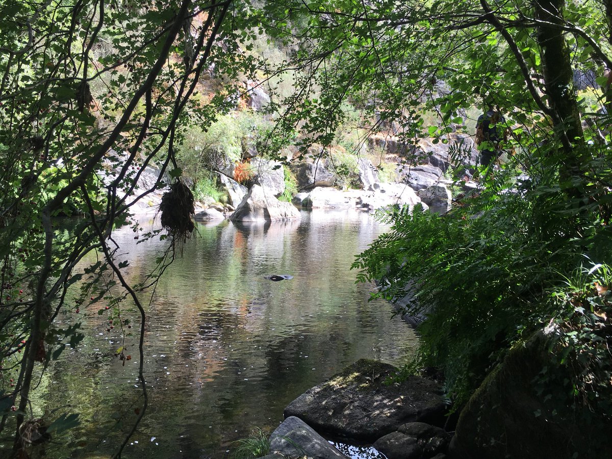 alvientooo's tweet photo. Visita a los baños de San Xusto junto al Rio Lérez a su paso por Cerdedo-Cotobade en #TerrasdePontevedra https://t.co/Oo6uwRbhVk