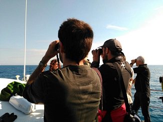 Como todos los años #Zeiss patrocina "LAS AVES PELÁGICAS DEL <a href="/DeltaBirdingF/">DeltaBirdingFestival</a> ". Salidas sábado y domingo, a 10 o 15 millas mar adentro para observar las aves marinas e incluso algún cetáceo, donde probar nuestra óptica. 
➡️➡️💻 Reserva aquí tu plaza bit.ly/2N1OMvm