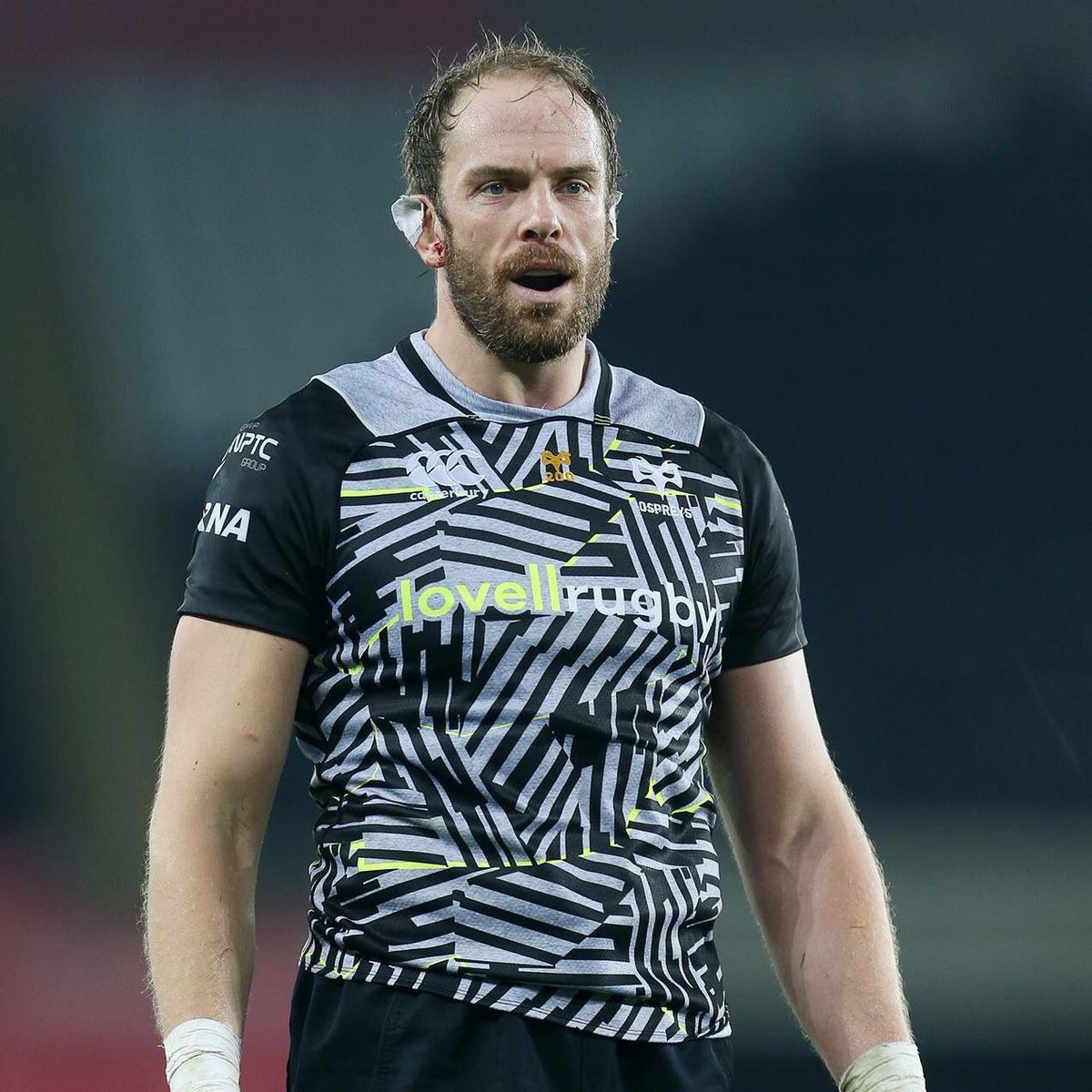 Ospreys Retail tweet media