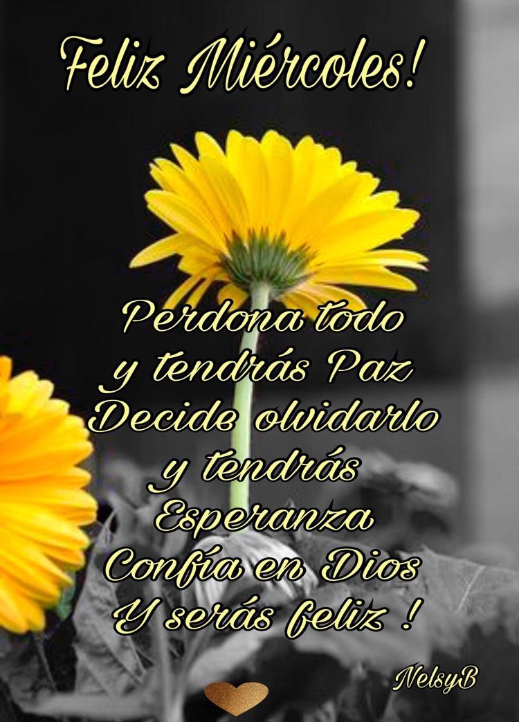 Norma Campos ♊️ auf Twitter: "Feliz miércoles! Bonita! Que este día sea  maravilloso! Abrazo! Bendiciones! ????????????????????… "