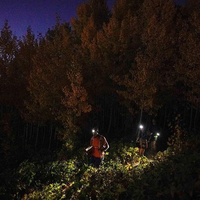 Run Rabbit Run 100 tweet media