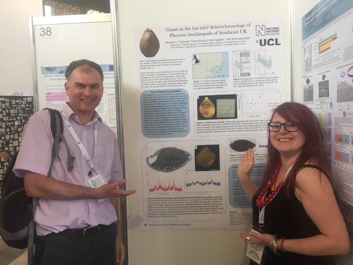 NHM_Brachiopoda's tweet photo. I forgot to tweet this picture of Richard Twitchett and myself with our poster (in collaboration with Will Brownscombe from ⁦@NHM_IAC⁩ and our MRes student Claire Paulus from ⁦@ES_UCL⁩) last week in Milan at the Brachiopod Congress #IBC8 https://t.co/kyGoqQ2Yro