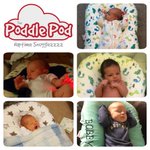 Photo by Poddle Pod UK (@PoddlePodUK)