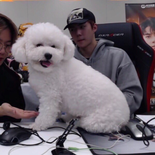 Pu tweet media