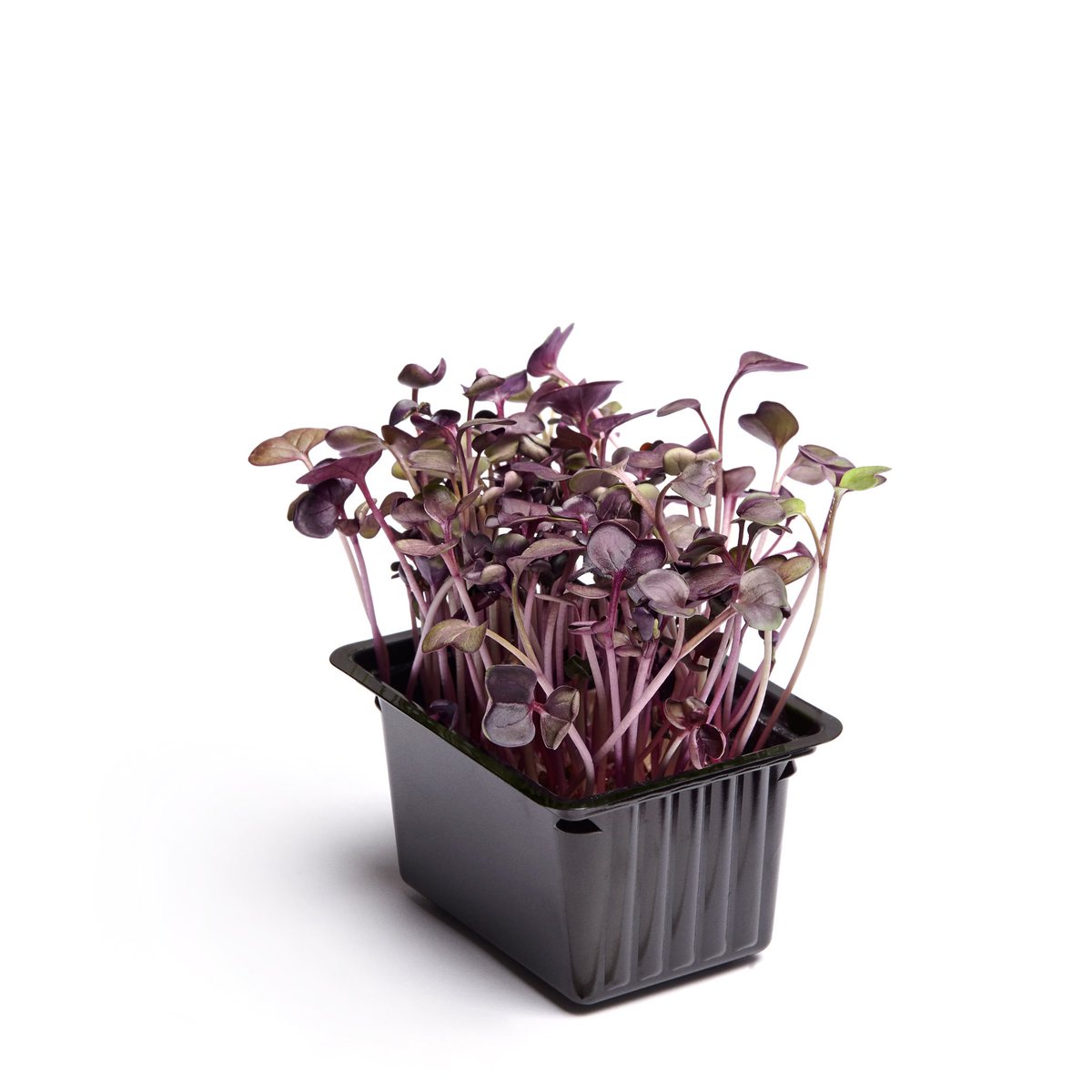 Antonio de Miguel SA tweet media