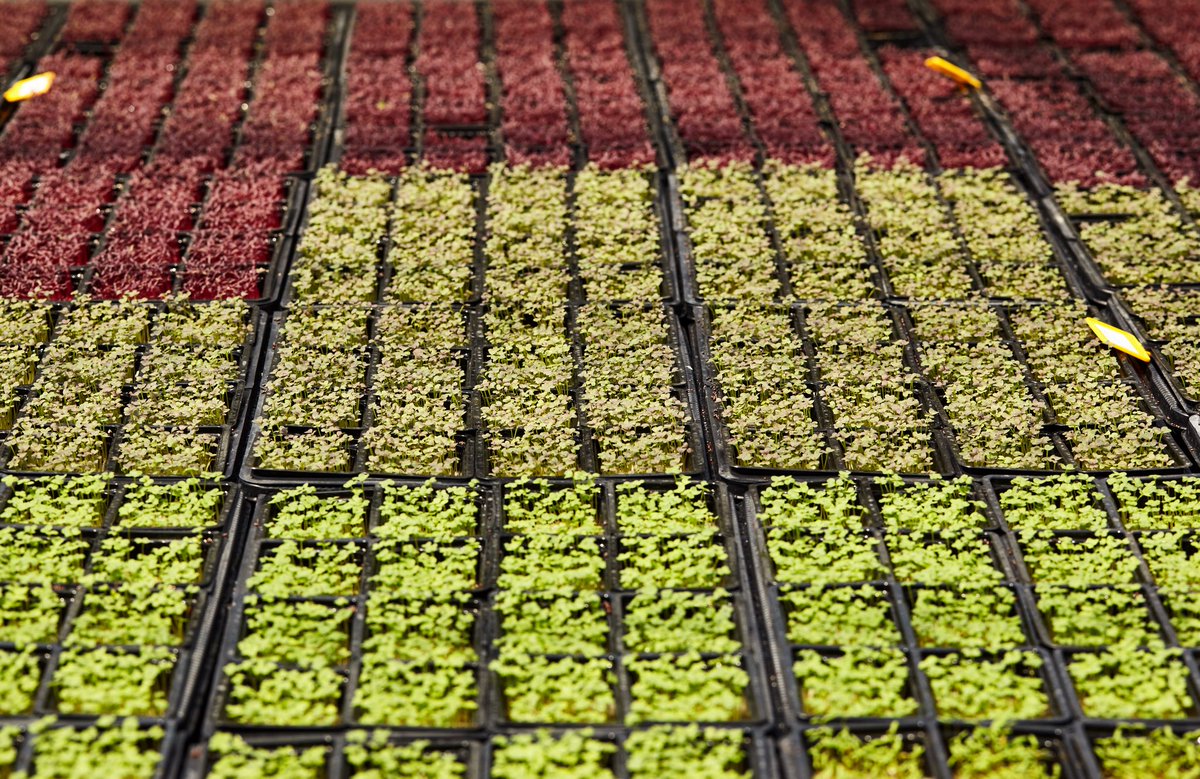 Antonio de Miguel SA tweet media