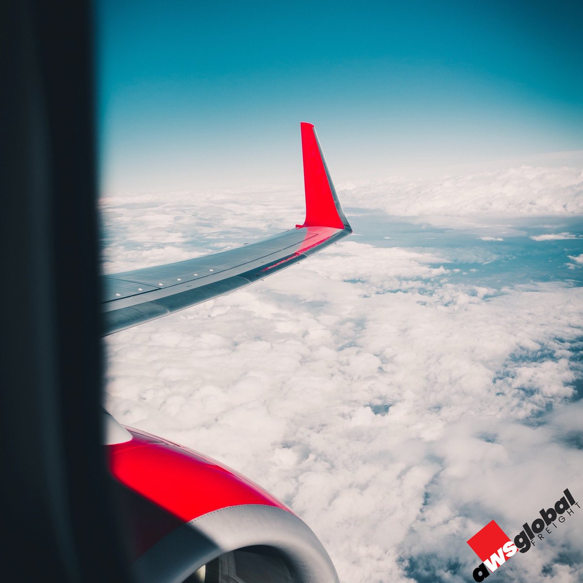 awszimbabwe's tweet photo. Did You Know🤔 

Air Freight is often placed on  commercial flights worldwide. 
———————————————
Allen Wack &amp; Shepherd have a specially dedicated Air Freight Team ready to assist you in any way possible. Our services include Customs Clearance, Handling and Delivery. https://t.co/ajIiYLyrEK