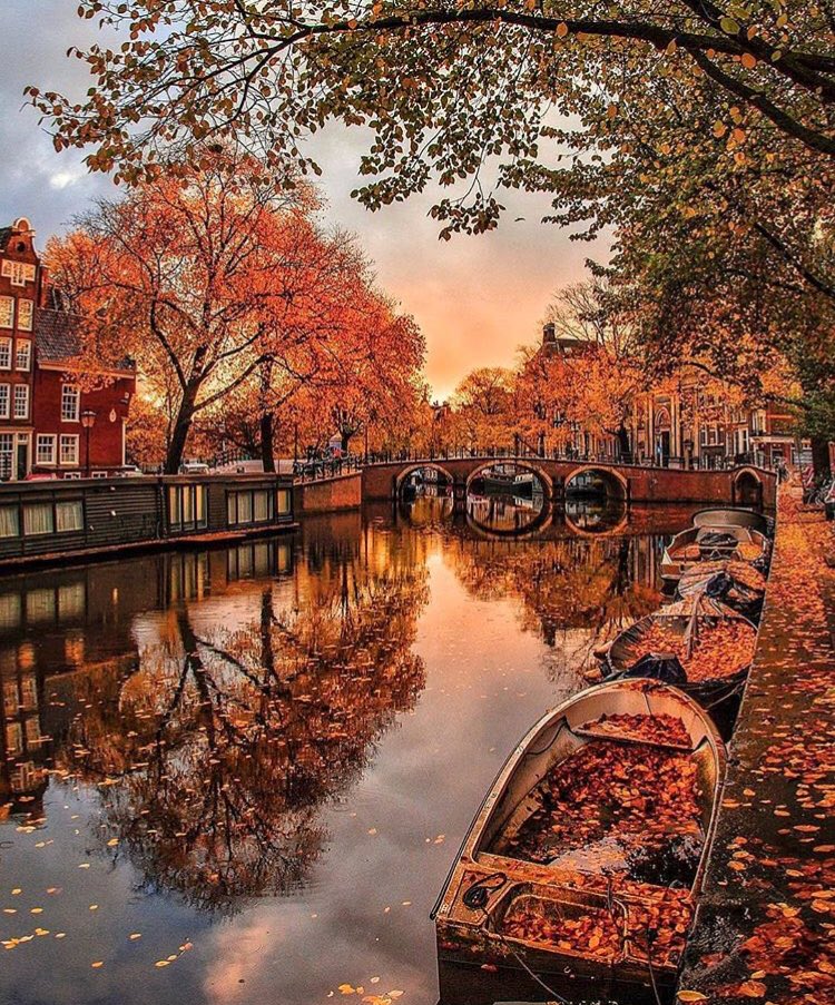 Fall in #amsterdam 🍂🍁🍃 #canals <a href="/Iamsterdam/">I amsterdam</a>