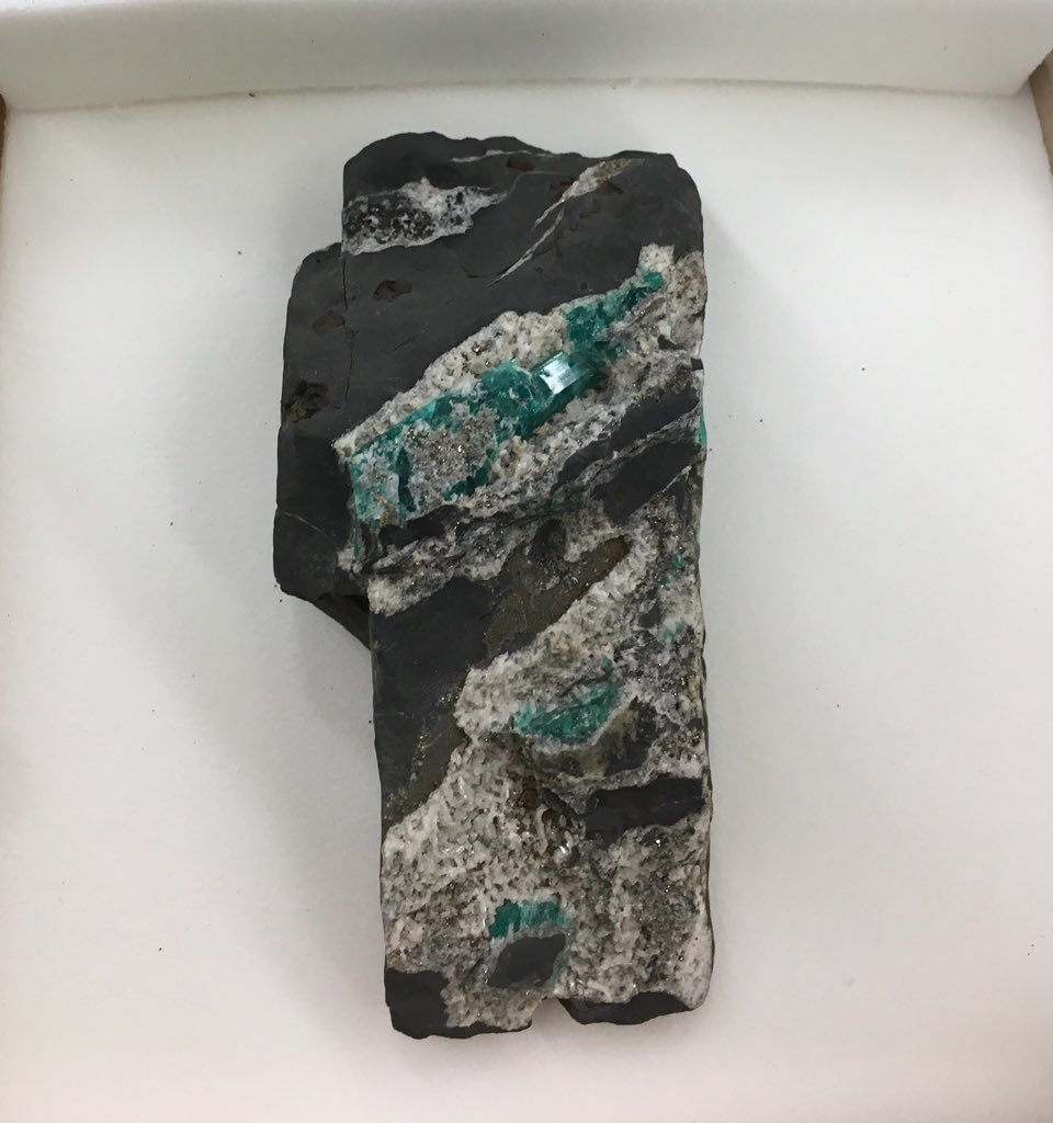 andersonmineral's tweet photo. This emerald (variety of beryl) from Colombia recently went through my hands while processing a loan return. Iโm so used to seeing single crystals of beryl, itโs neat to see it in context within matrix. #MinCup2018 seems like a good time to show it off. #TeamBeryl @MuseumofNature https://t.co/2r5BRcwjo1