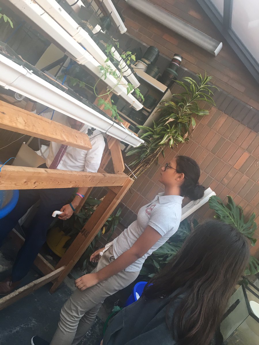 _Snail_Samurais's tweet image. Working on a new experiment for new ways to filter other tanks naturally (ALGAE FILTER) #projectreservoir #ps28
#challengers #experiments #filter #snails #algae #natural