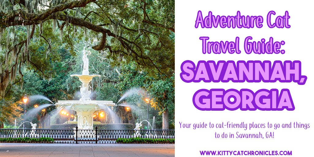 We are taking a #roadtrip to #Savannah in just a couple weeks and have compiled a list of #catfriendly things to do! Can't wait to experience Savannah through the eyes of my #AdventureCats!
>>bit.ly/2NVVUKh<<
#travelguide #adventurecat #visitsavannah #petfriendly