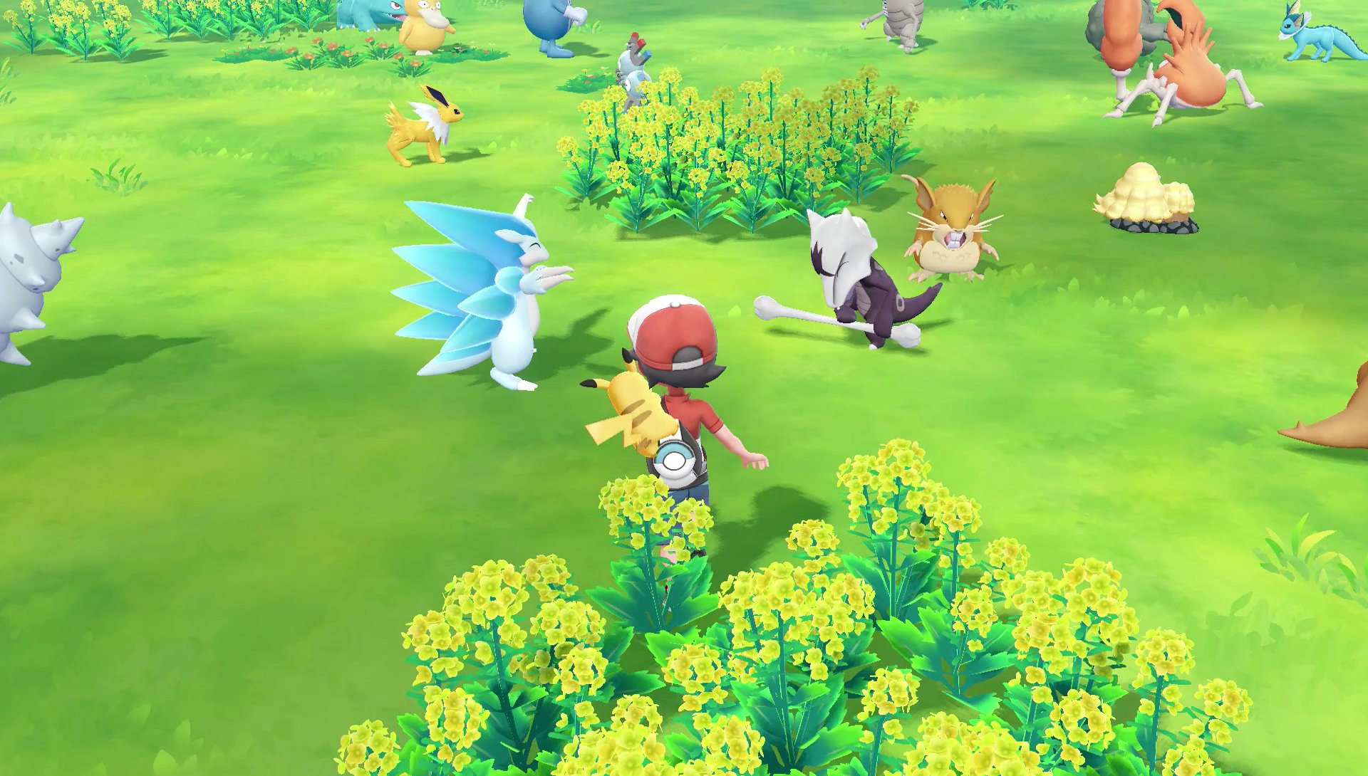 公式 ポケモン情報局 No Twitter ポケモン Go で捕まえたポケモンを ポケモン Let S Go ピカチュウ Let S Go イーブイ へ送ると Goパーク という場所に出現するように Goパークでは 楽しそうなポケモンたちの様子も見ることができます