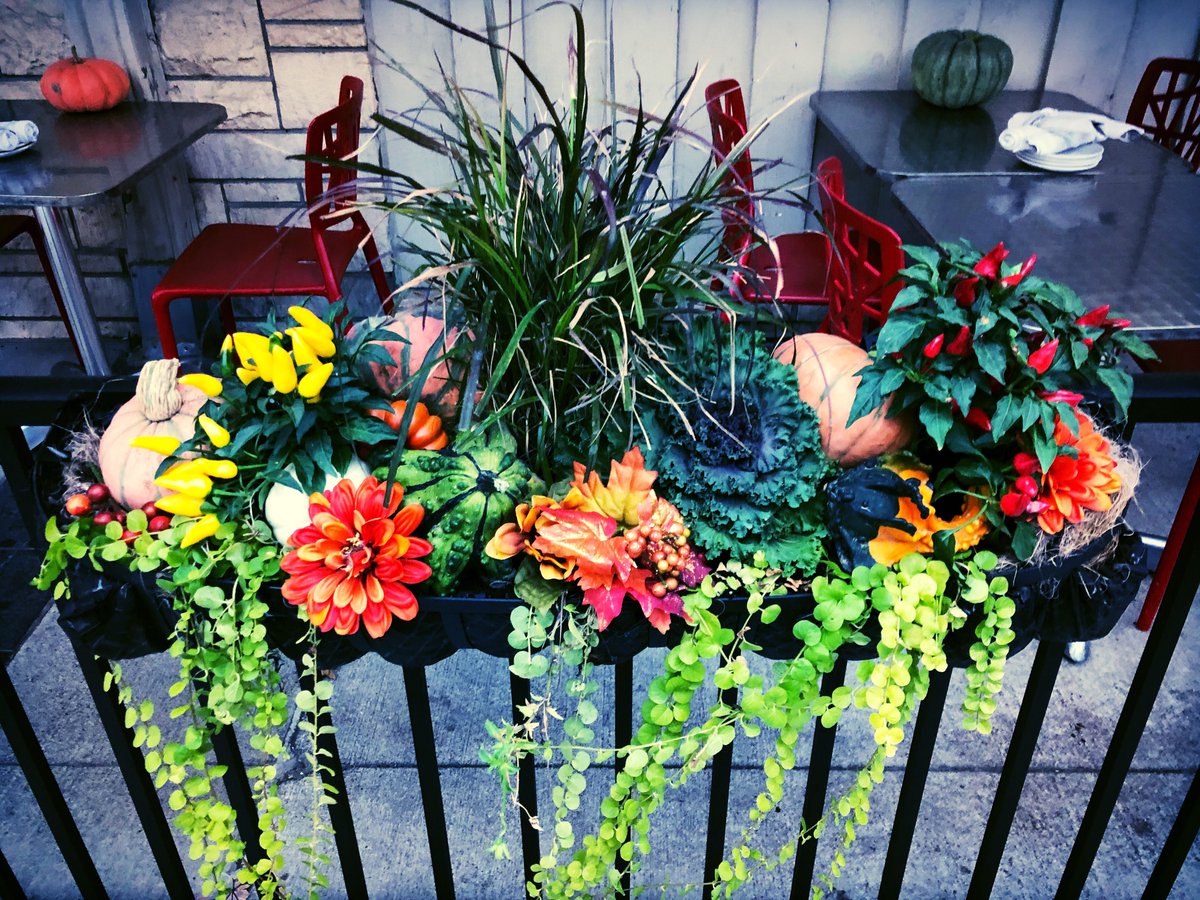 edenartofomaha's tweet photo. Fall into Autumn 🍂 with some Saturday morning brunch before the game 🏈. At Timberwood Fire Bistro 🔥 in Countryside Village. #fallflowerteam #fallcontainers #fall2018 #flowerteam #flowerteamOMA #fallfairies #edenartistry #foodies #timberwoodfirebistro #omahabrunch https://t.co/VYRUpAuJrS