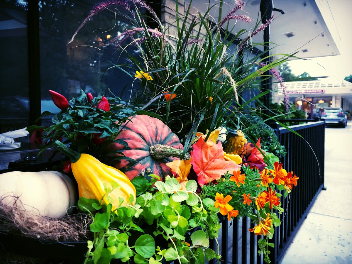 edenartofomaha's tweet photo. Fall into Autumn 🍂 with some Saturday morning brunch before the game 🏈. At Timberwood Fire Bistro 🔥 in Countryside Village. #fallflowerteam #fallcontainers #fall2018 #flowerteam #flowerteamOMA #fallfairies #edenartistry #foodies #timberwoodfirebistro #omahabrunch https://t.co/VYRUpAuJrS