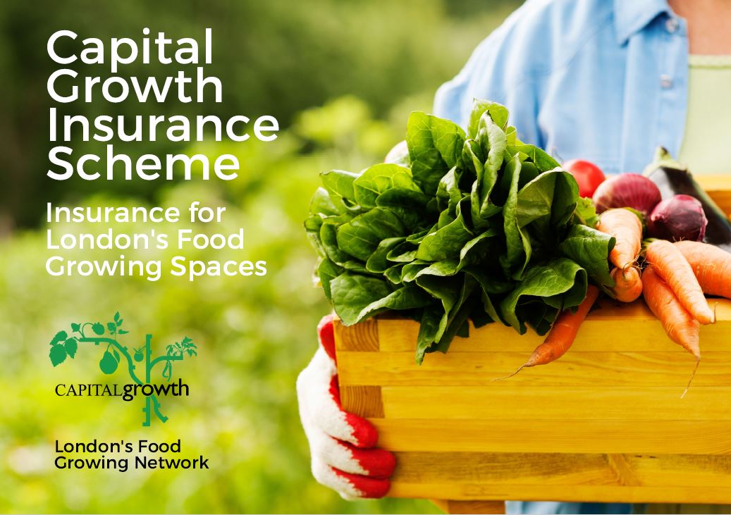 Capital_Growth's tweet photo. Fancy saving 35% or more on your Garden’s insurance? Capital Growth have linked up with @charityinsurer to offer Members great deals and superb protection for a fraction of the price! Find out more &amp; get an instant quote https://t.co/ejQWH0RptB #protectyourgarden #sustainability https://t.co/Rbt2Tsmy9M