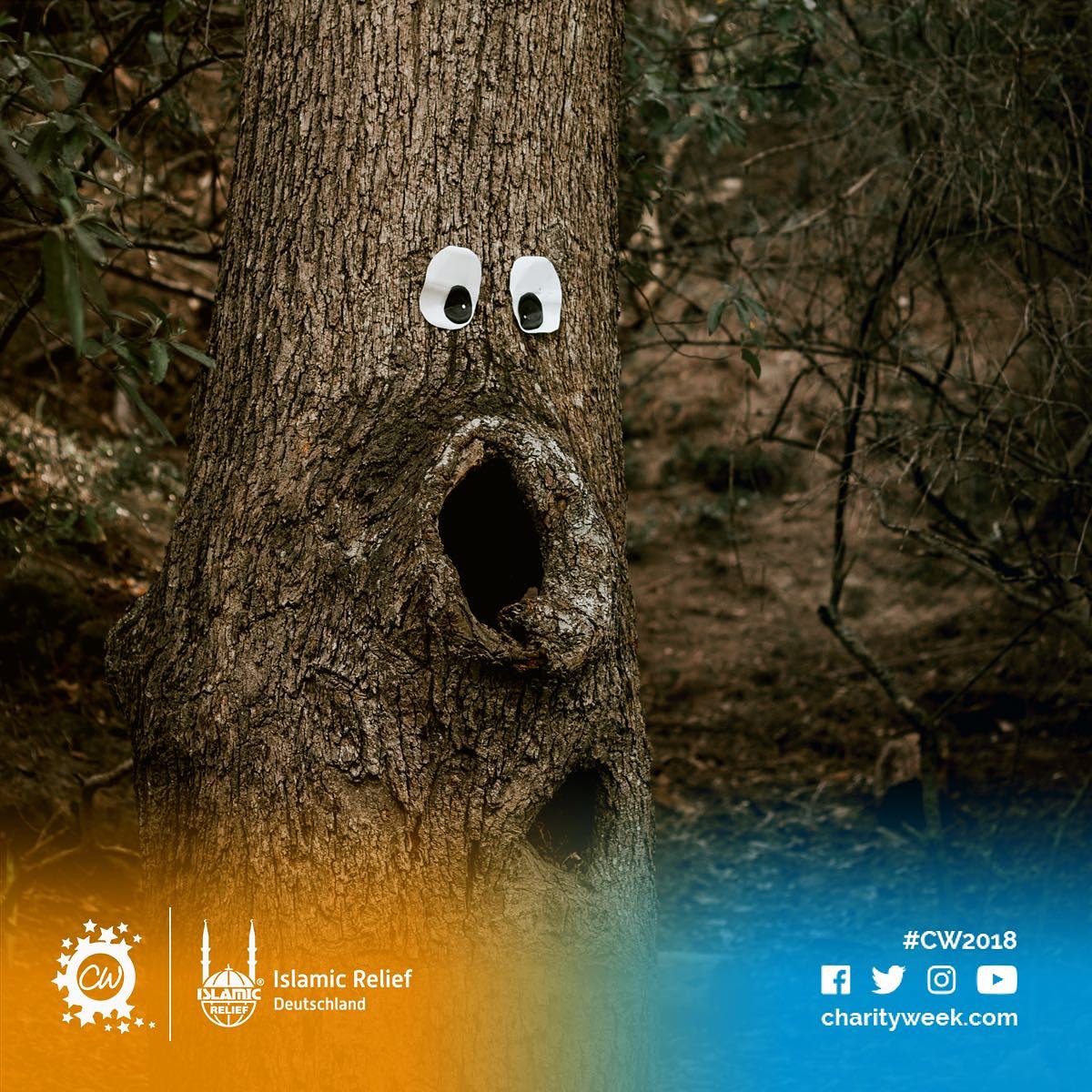 "Jeden Tag versorge ich ca. 4 Personen mit Sauerstoff. Bin ich es nicht wert, beschützt zu werden?" Unity bedeutet, sich auch um die zu kümmern, die sich um uns kümmern. Wer sich um die Umwelt kümmert, kümmert sich um die Menschheit. 
#LetsGrowTogether this #CW2018