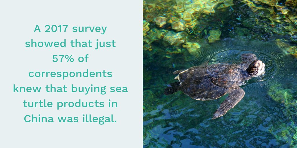 Dialogue Earth tweet media