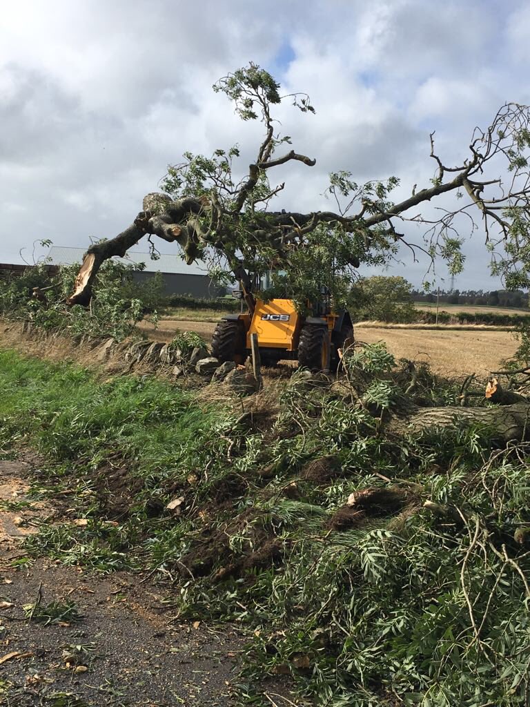 grewarfarming's tweet photo. Keeping the roads open for @farmvending @JCBAgriculture #413s https://t.co/0iW6ZI5qdD