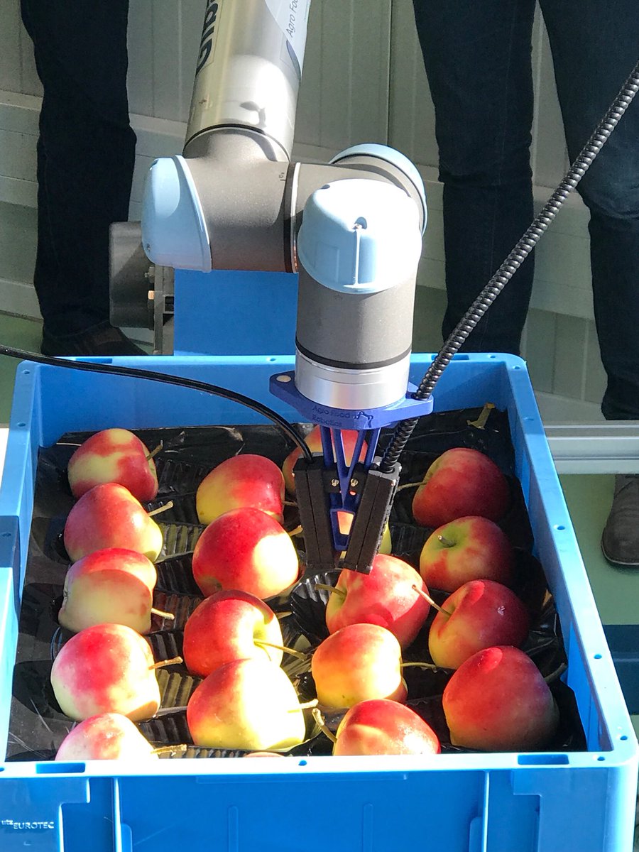 ripeio's tweet photo. Check out this amazing tech at Wageningen University, we are geeking out on all of this amazing #AgTech
#BlockchainOfFood #FoodInnovation #FutureFarming https://t.co/phbnN6sbpH